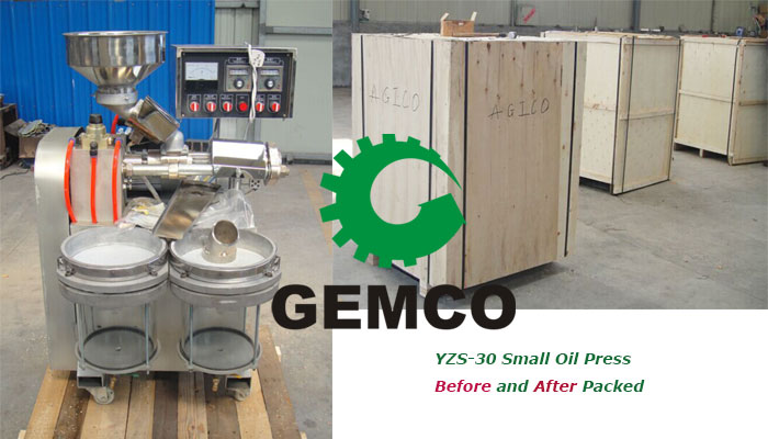 small oil press yzs-30