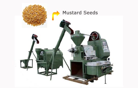 Mustard Oil Mill Machinery