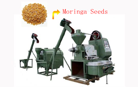moringa seeds press unit