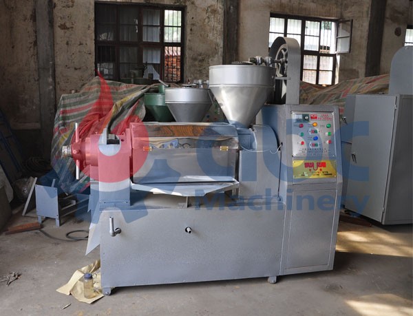 groundnut oil mill project