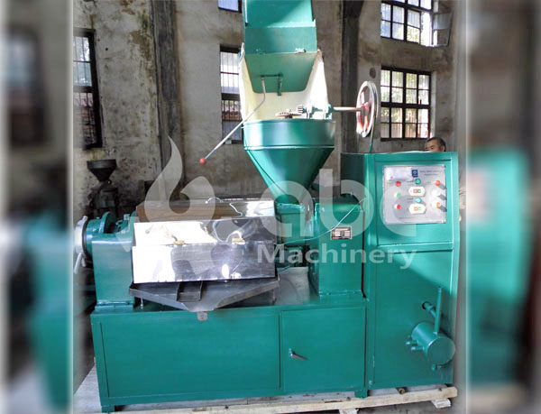 soybean oil press